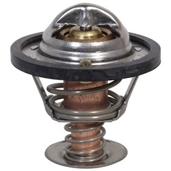 Thermostat & Gasket (4Y)