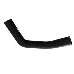 Radiator Hose - Upper