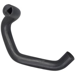Radiator Hose (Lower)