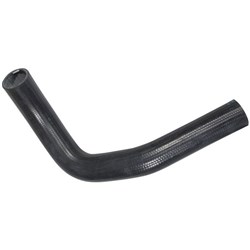 Radiator Hose - Lower (H20II)
