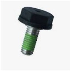 Bolt M10 X 18mm with testing point