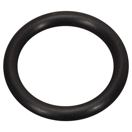 Gas Bottle Male Coupling O'Ring - REGO 7141M