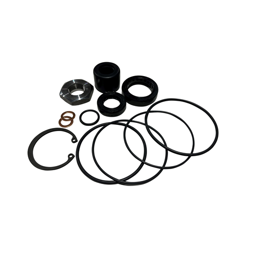 Steering Box Seal Kit