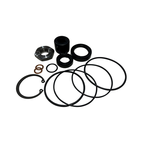Steering Box Seal Kit