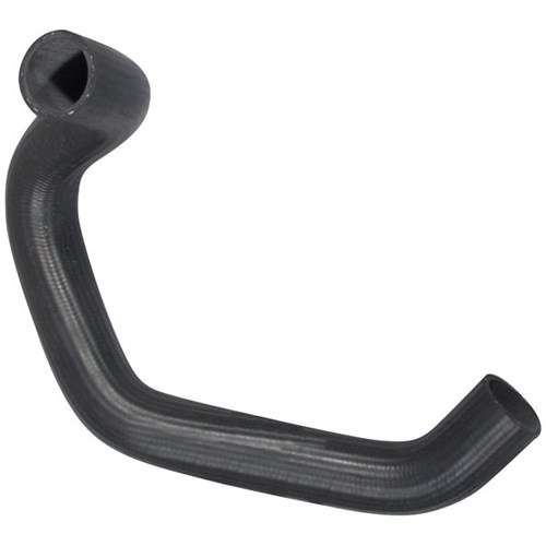 Radiator Hose (Lower)