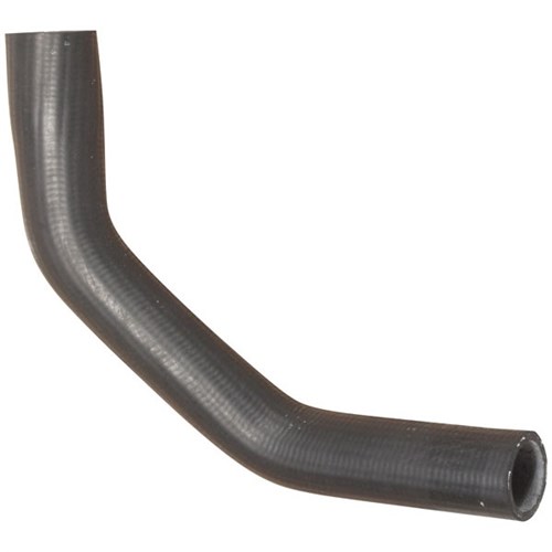 Radiator Hose - Lower (K21)