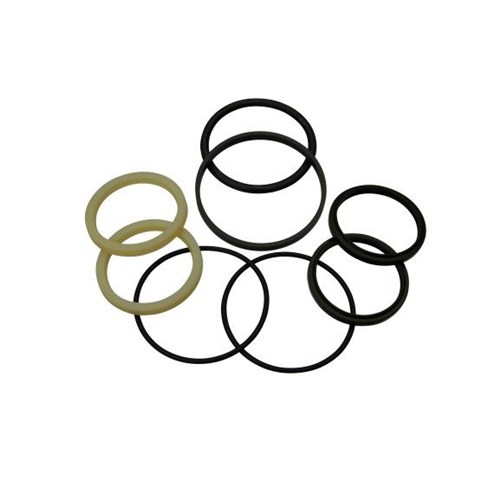 Power Steer Seal Kit - suits TCM FG30T3C